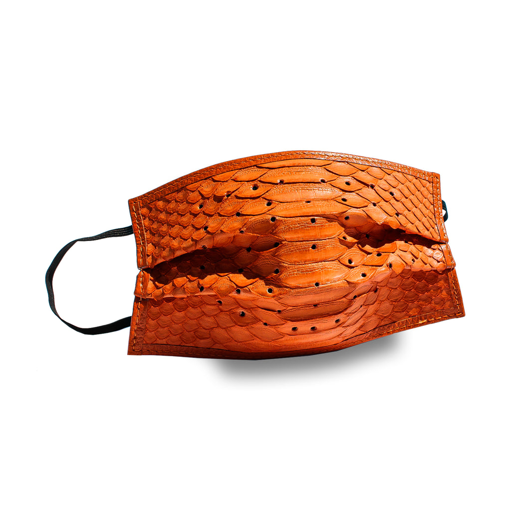 Python Face Mask
