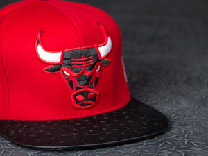 Chicago Bulls Ostrich Strapback