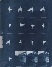 Doses x Dusty Flannel (Hollow Knox)