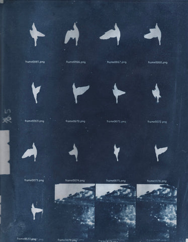 Doses x Dusty Flannel (Hollow Knox)