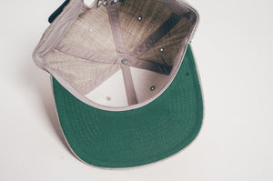 Doses Silver Four Seasons Strapback