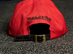 Chicago Bulls Rose Strapback