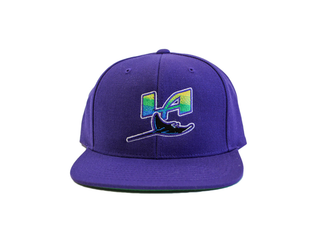 Doses 2020 World Series Snapback