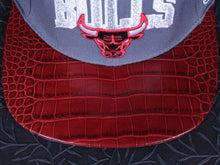 Chicago Bulls Gator Roses