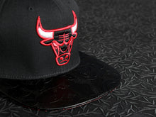 Chicago Bulls Snake Roses